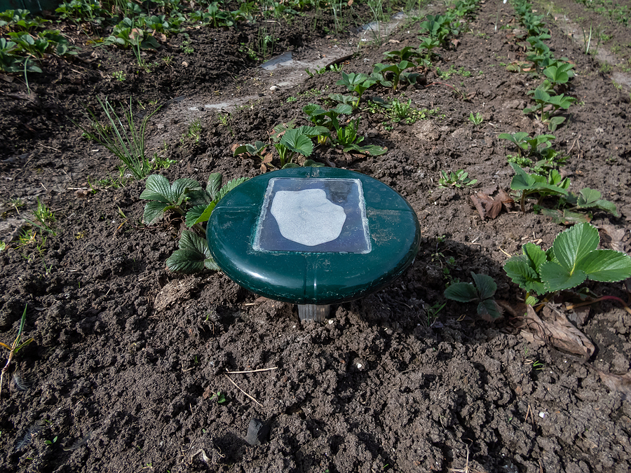 Call 615-610-0962 For Professional Nashville Mole Control Services